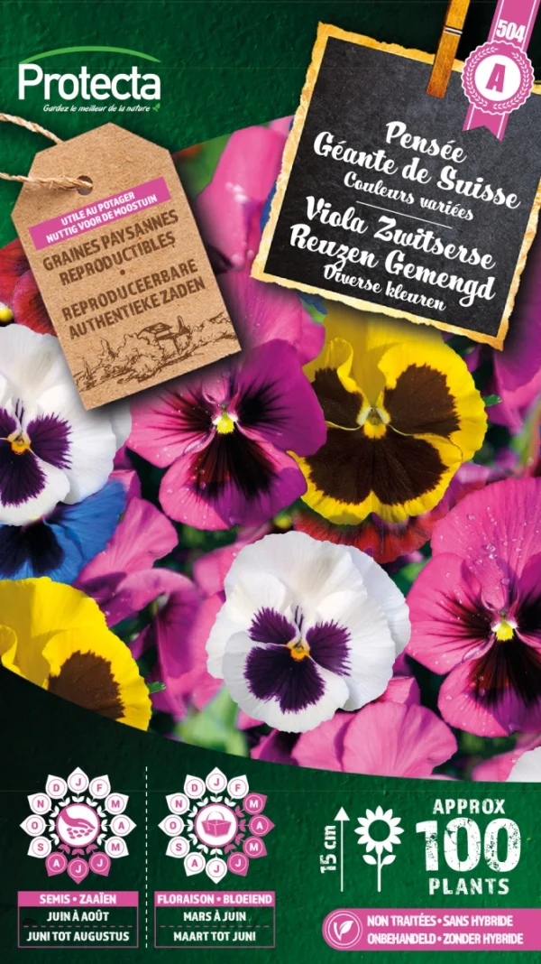 Viooltje Zwitserse Reuzen Gemengd