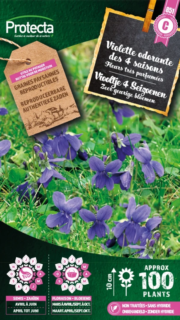 Viooltje 4 Seizoenen