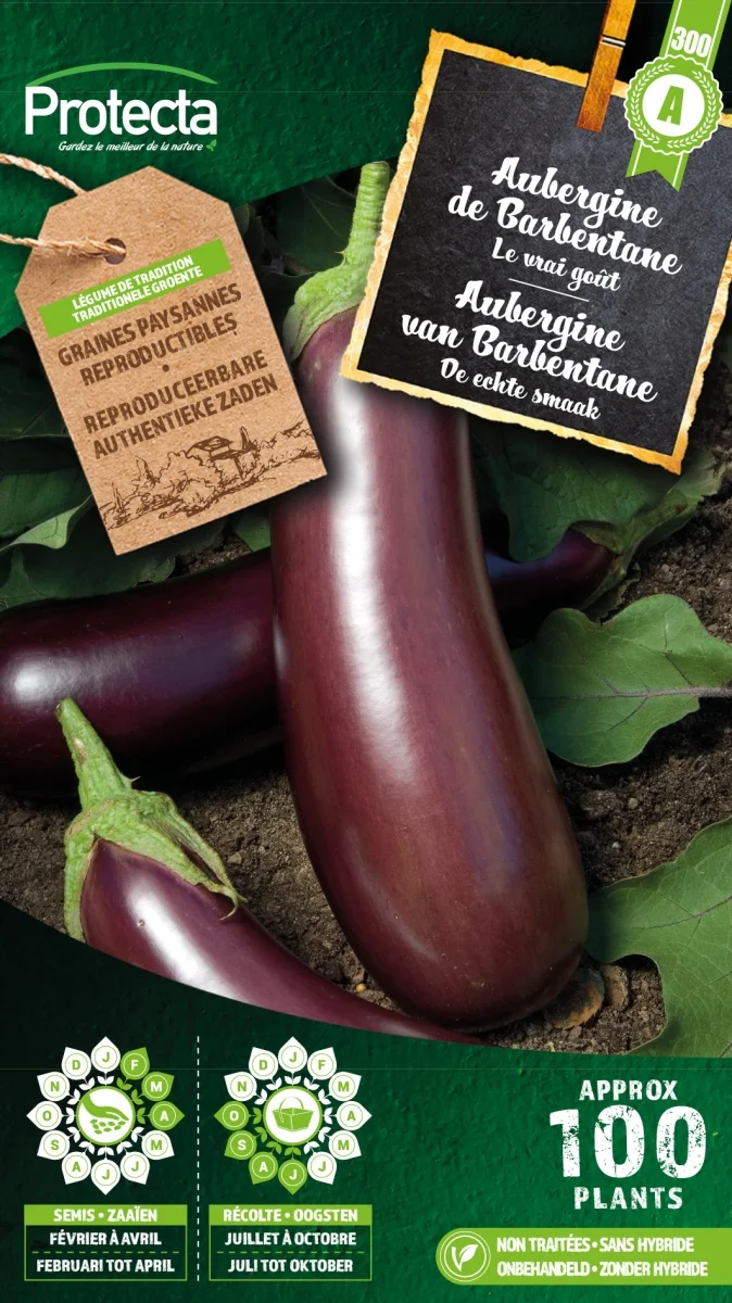 Aubergine Paarse van Barbentane