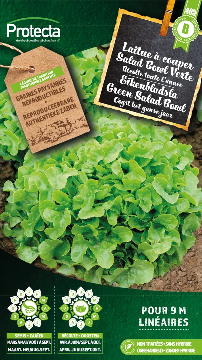 Eikenbladsla Groene Salad Bowl?