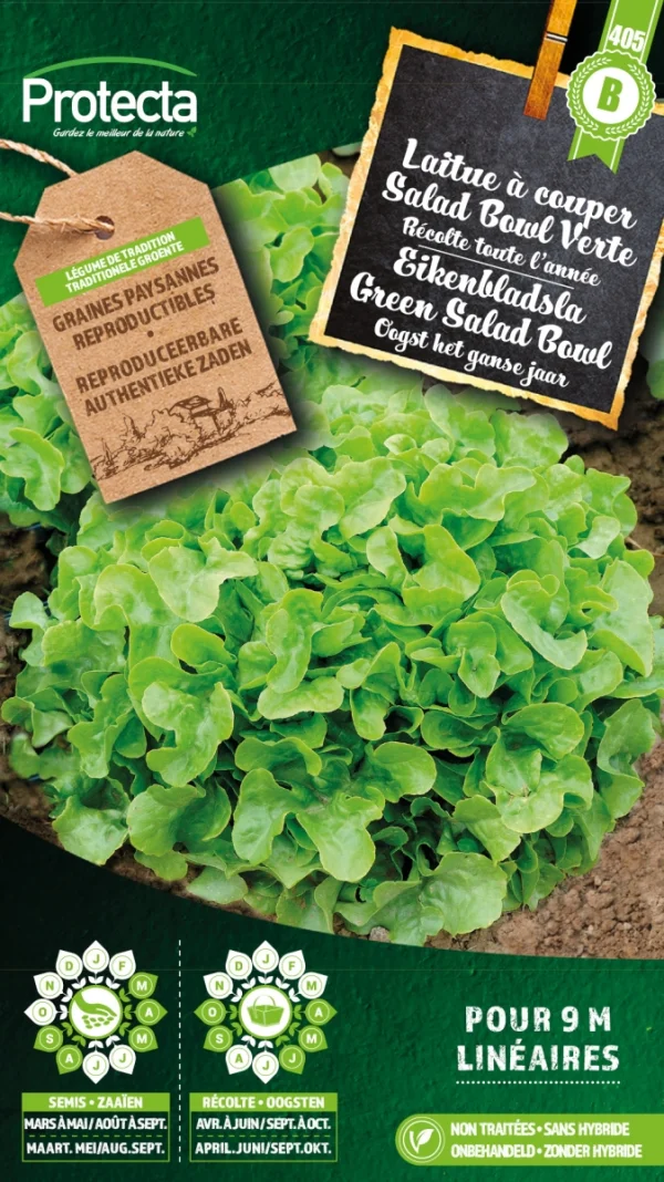 Eikenbladsla Groene Salad Bowl?