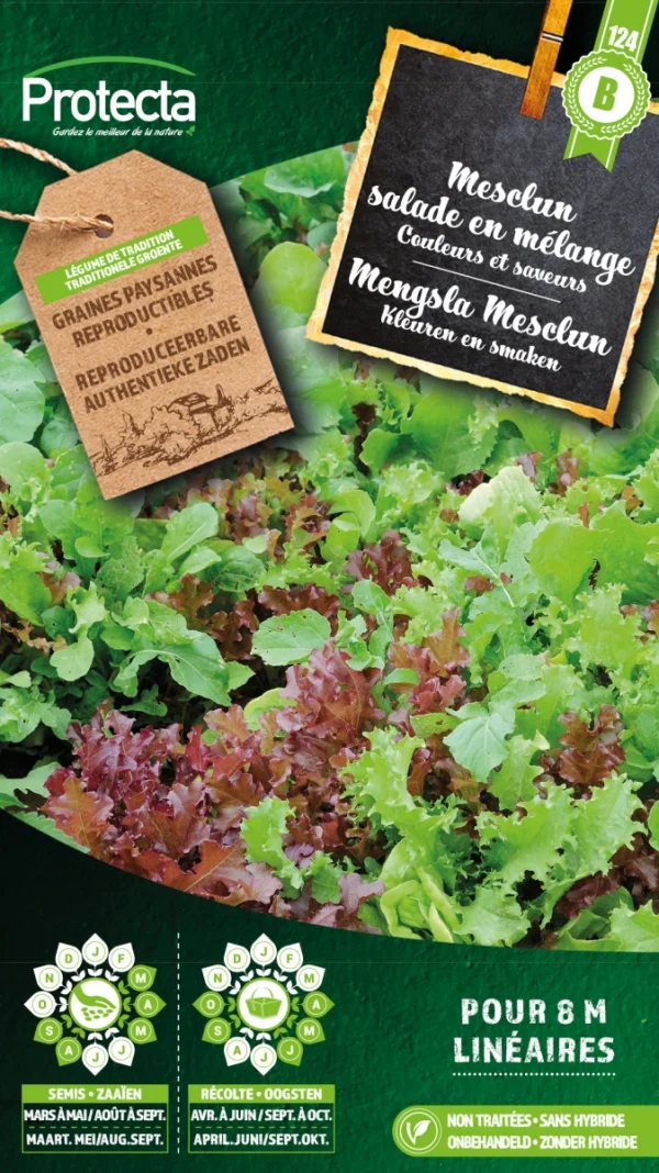 Mengsla Mesclun