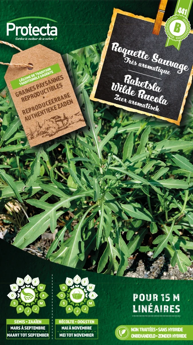 Raketsla Wilde Rucola 