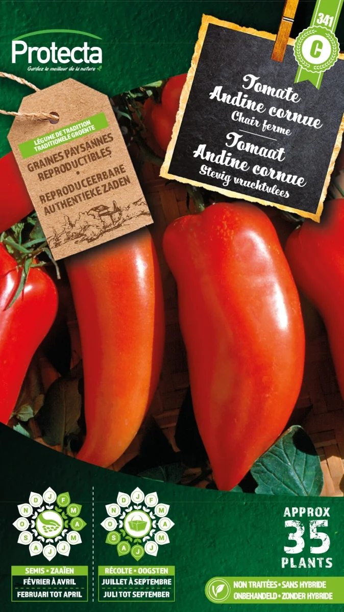 Tomaat "Andine cornue"