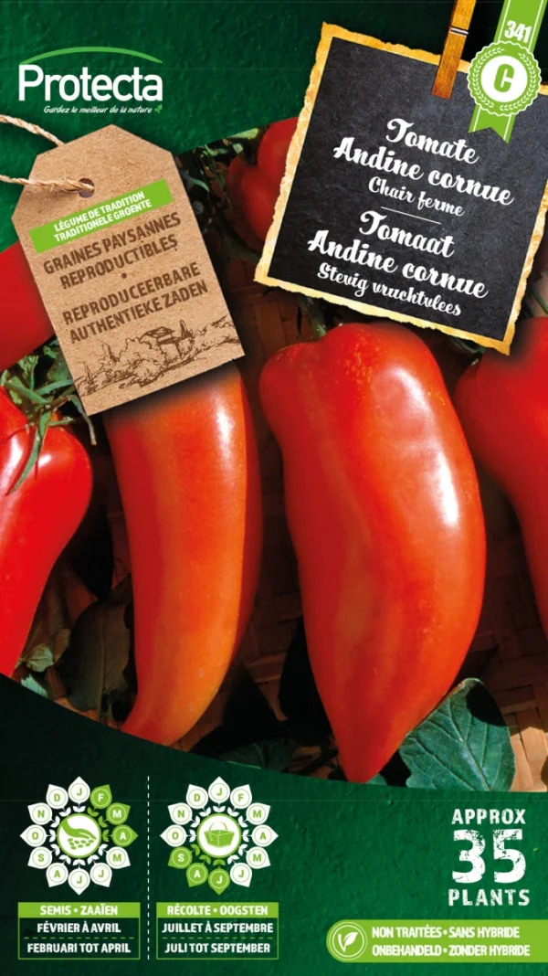 Tomaat "Andine cornue"