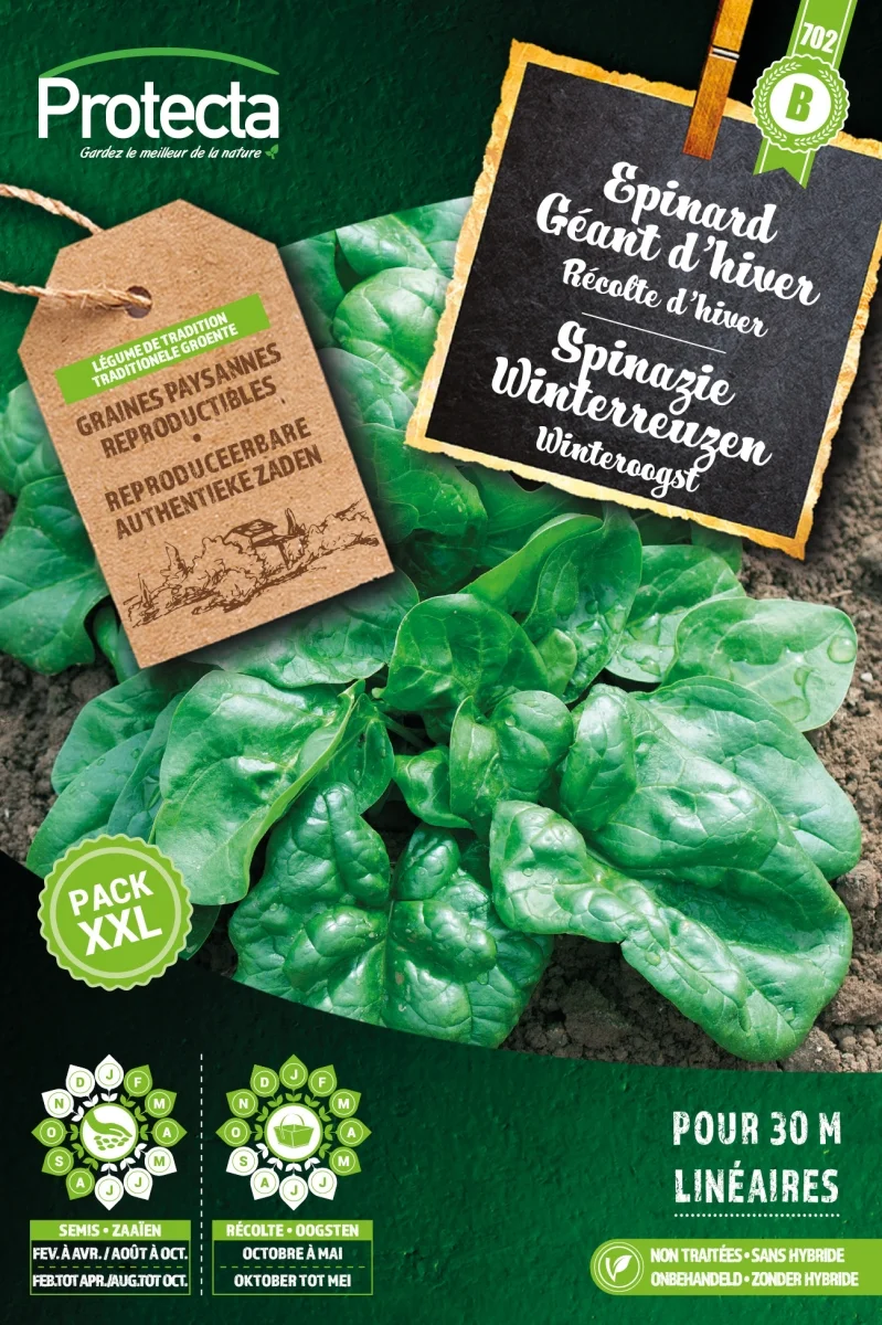 Spinazie Winterreuzen?XXL