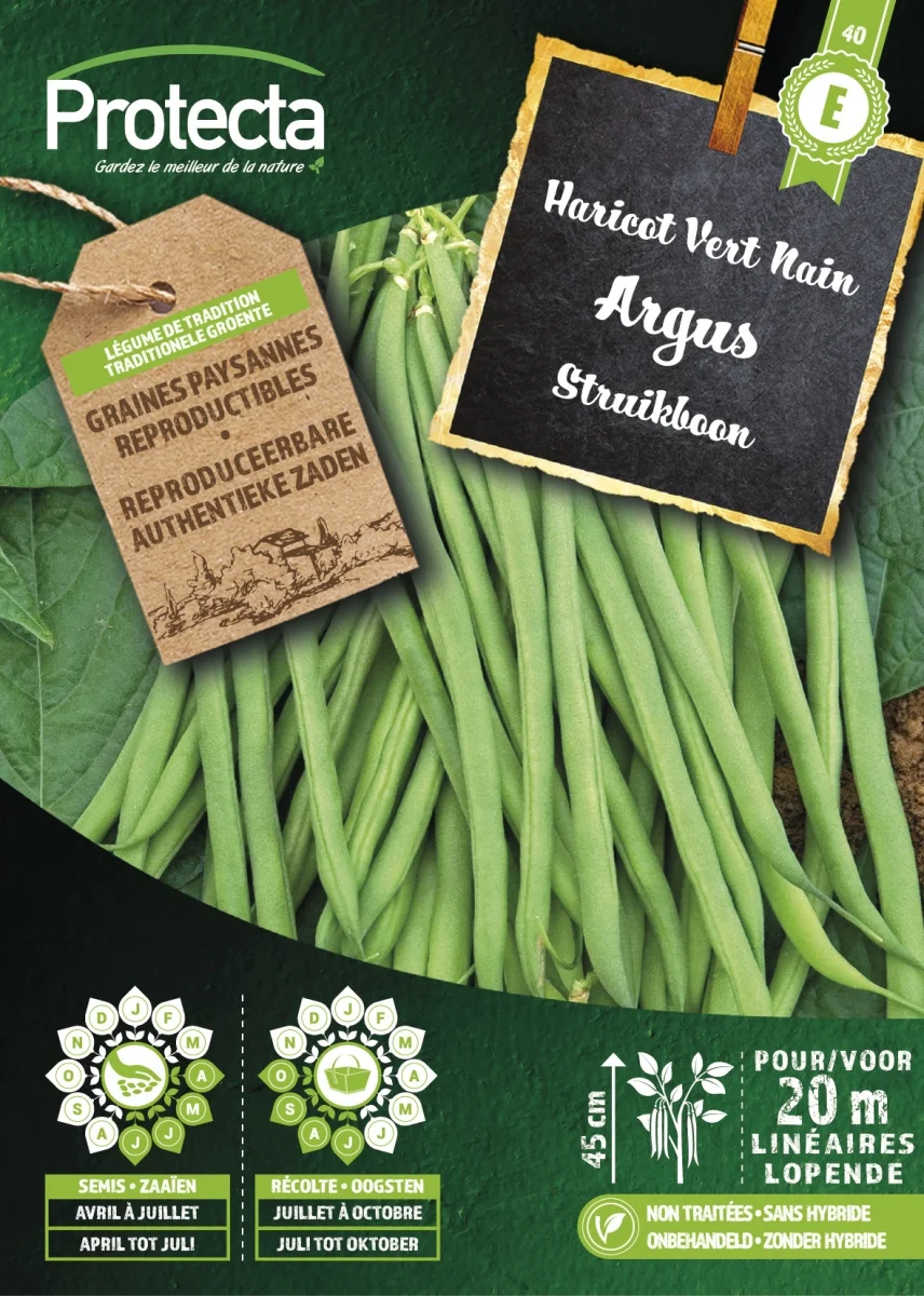Struikboon Groen ARGUS
