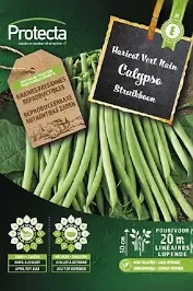 Struikboon Groen CALYPSO