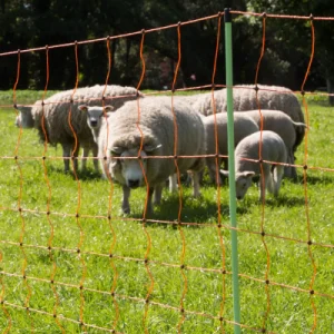 Schapennet, Oranje 90/2-14/G-50m