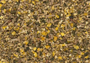D' Hooghe Horse flox 20 kg