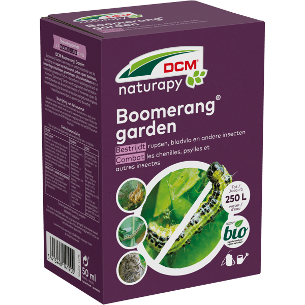 DCM BOOMERANG GARDEN - SIERTUIN CONC 50ML