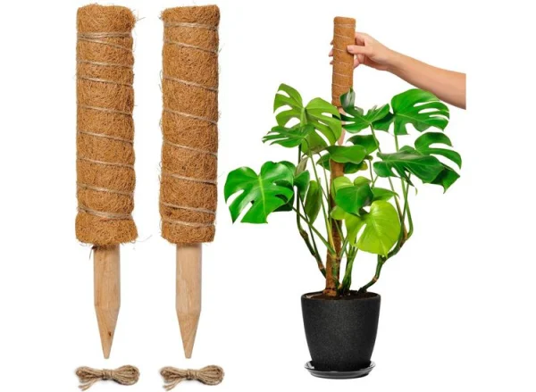 Floraworld Kokosplantenstok 80cm - 4,5cm