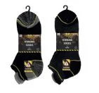 SNEAKER SOCKS APOLLO 3 PACK ASSORTED 39/42